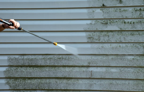 Best Local Pressure Washing Services  in Rock Creek, AL