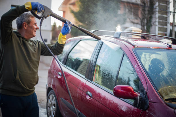 Best Pressure Washing Near Me  in Rock Creek, AL